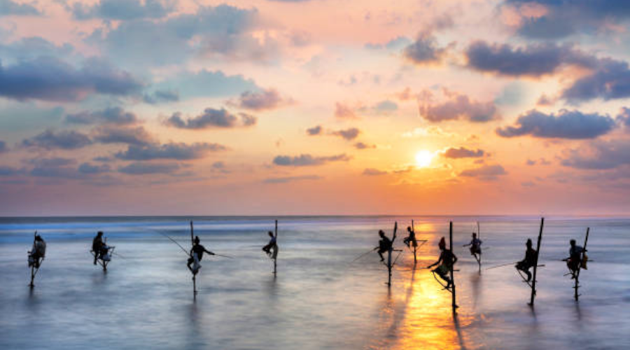 Stilt Fishing - Gallery Image 1
