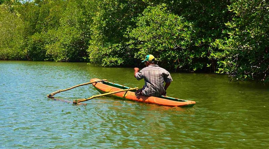 Madu River - Gallery Image 2