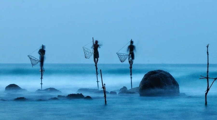 Stilt Fishing - Gallery Image 2