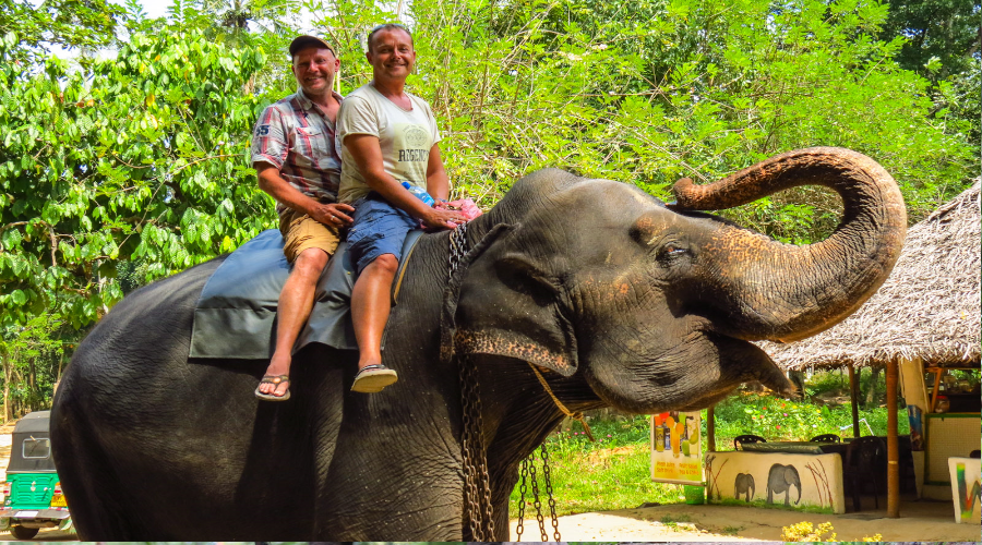 Elephant Back Ride - Gallery Image 2