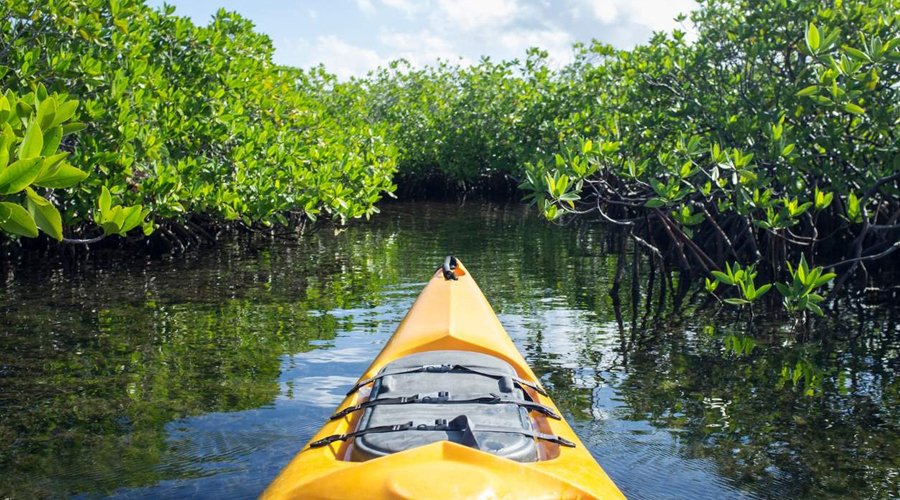 Kayaking - Gallery Image 3