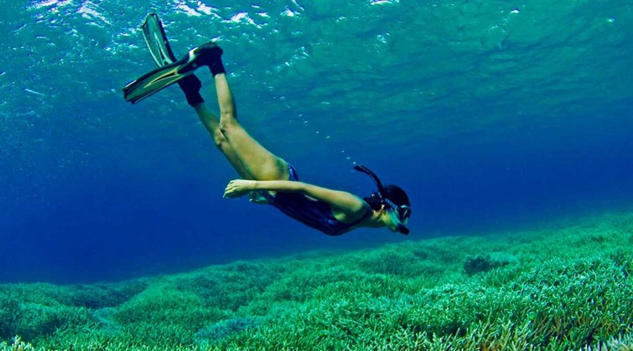 Diving and Snokerelling - Gallery Image 2