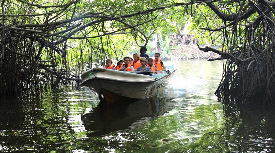 Madu River - Gallery Image 1