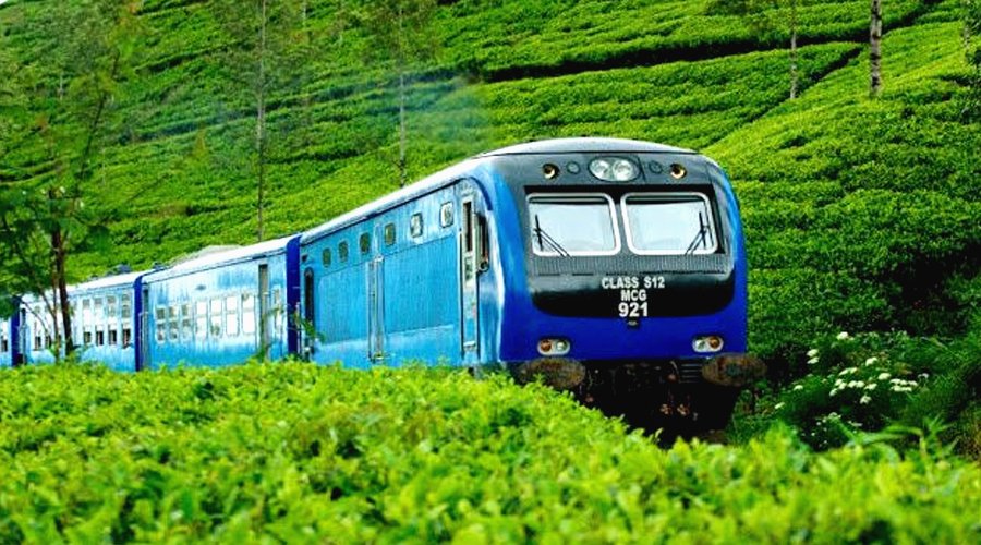 Train Ride - Gallery Image 1
