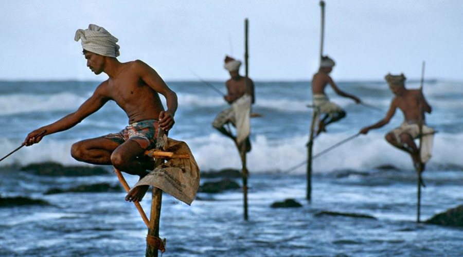 Stilt Fishing - Gallery Image 3