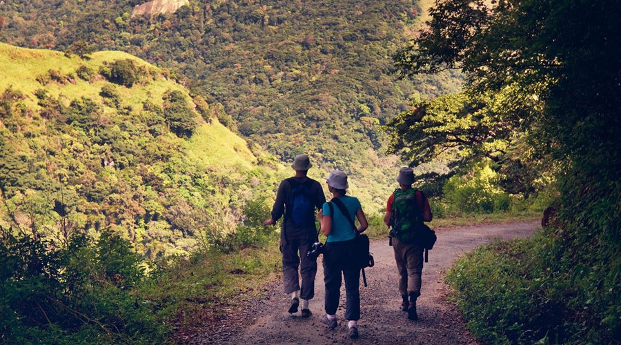 Hiking - Gallery Image 1