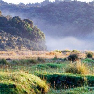 Horton Plains  - Top Destination in Sri Lanka