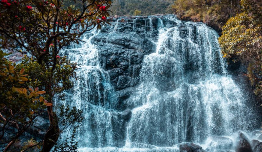 Horton Plains  - Gallery Image 1
