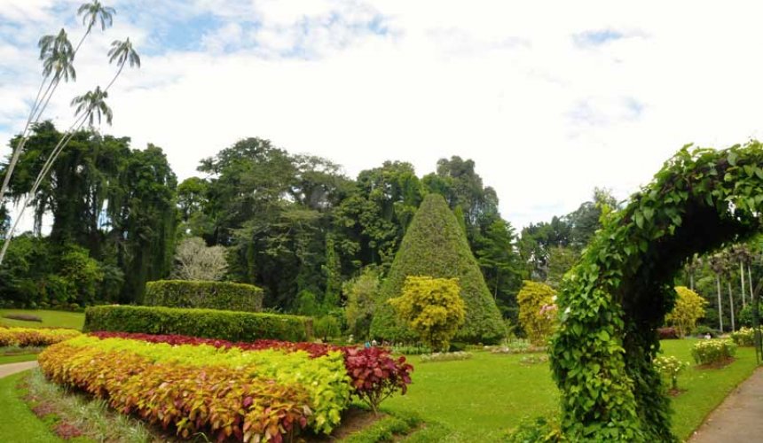 Royal Botanical Garden - Gallery Image 4