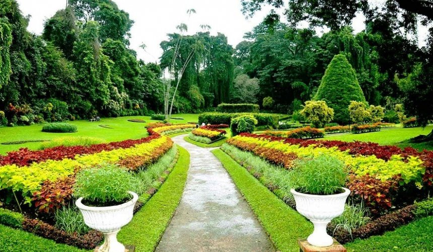 Royal Botanical Garden - Gallery Image 1