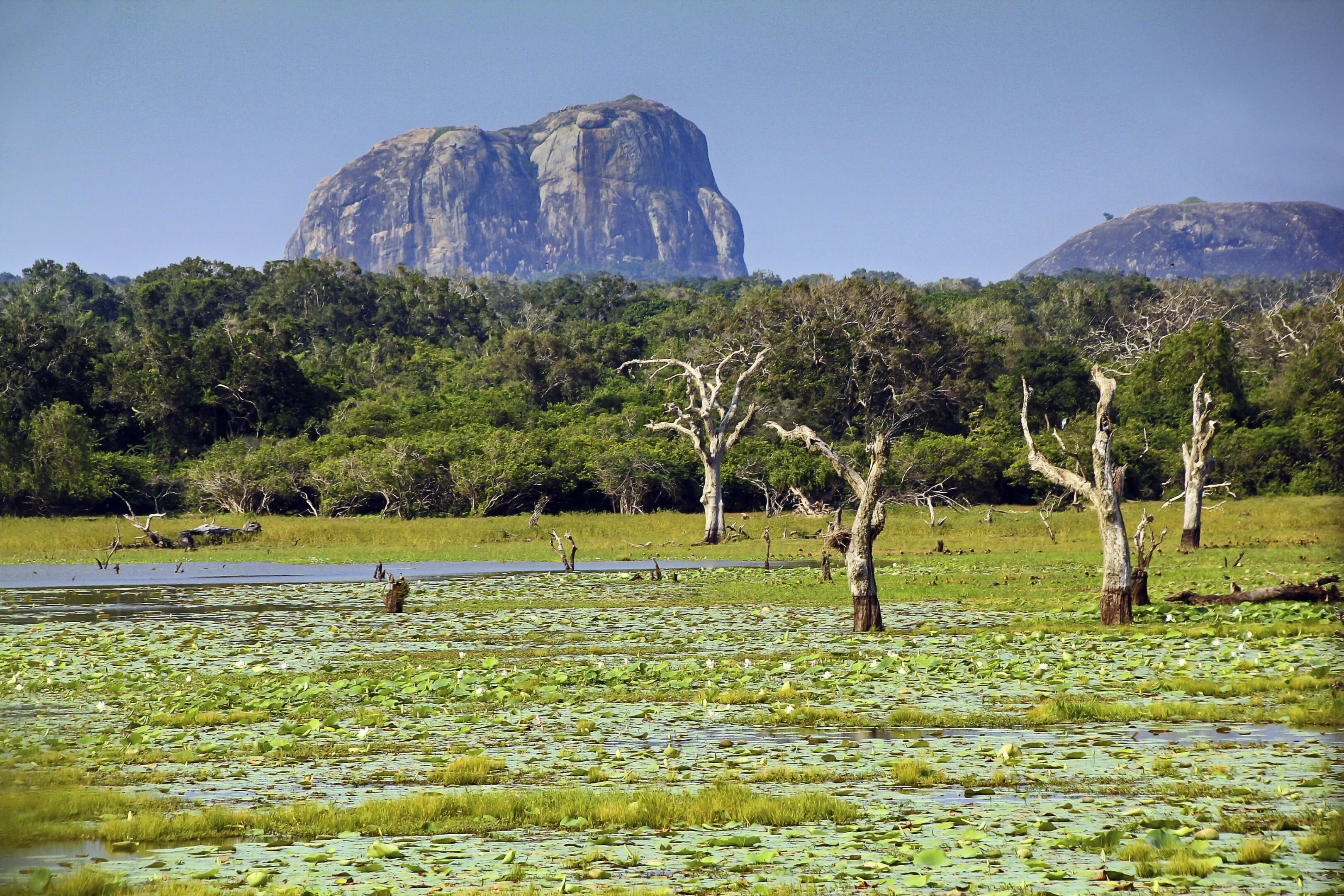 Yala National Park - Gallery Image 2
