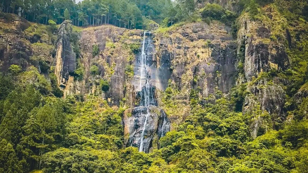 Bambarakanda Falls - Gallery Image 3