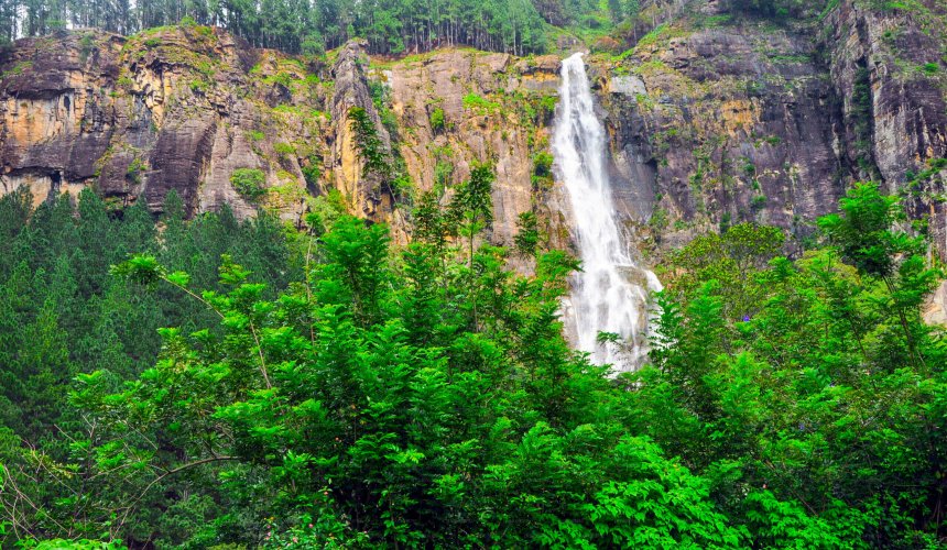 Bambarakanda Falls - Gallery Image 1
