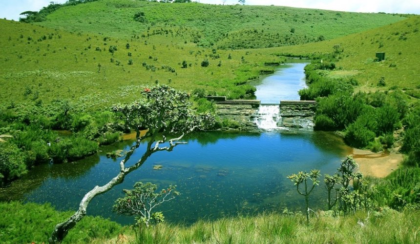 Horton Plains  - Gallery Image 3