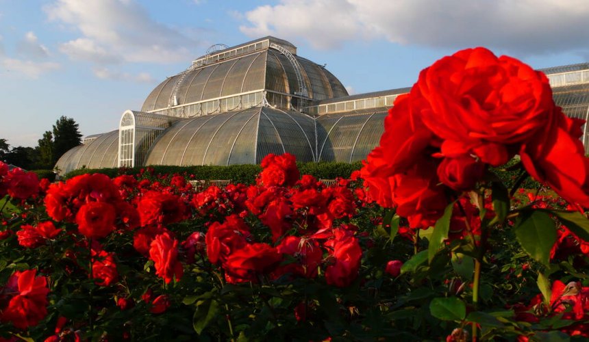 Royal Botanical Garden - Gallery Image 3
