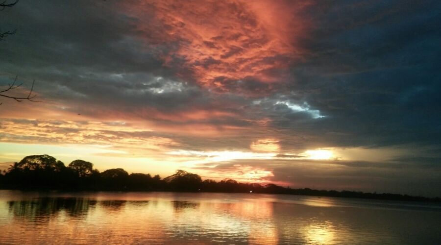 Nature - Photo 9