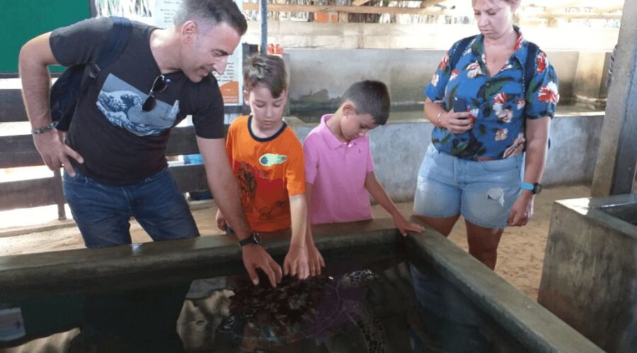 Group Tour - Photo 13