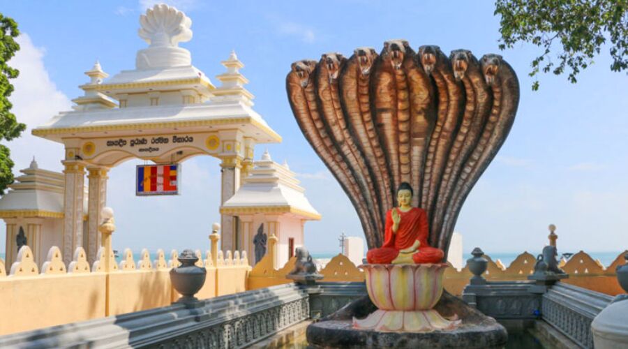 Culture - Photo 9