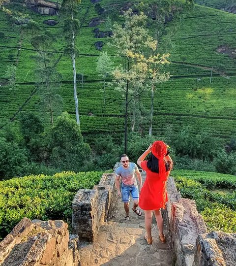 Sri Lanka Best Holiday Tour Package - Sri Lanka Tour Package