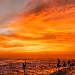 12 Day Experience - Go Lanka Tour