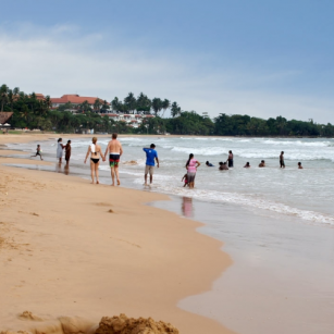 01 Day Experience - Go Lanka Tour