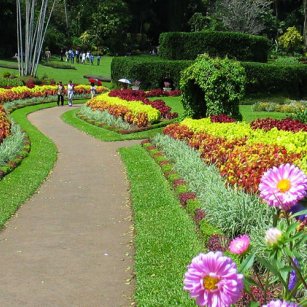 08 Day Experience - Go Lanka Tour