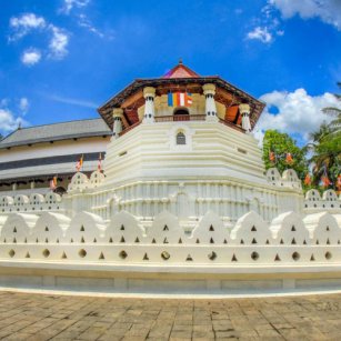 Kandy Day Tour Experience - Go Lanka Tour