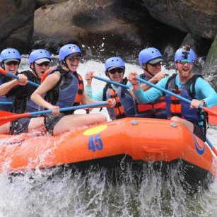 5 Day Experience - Go Lanka Tour
