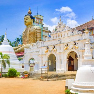Southeastern Day Tour Experience - Go Lanka Tour