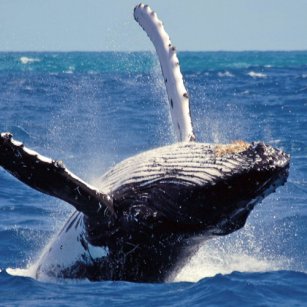 12 Day Experience - Go Lanka Tour