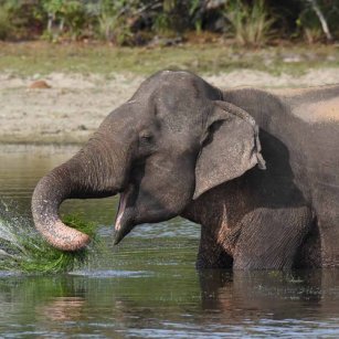 11 Day Experience - Go Lanka Tour