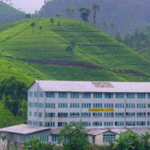 10 Day Experience - Go Lanka Tour
