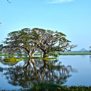 05 Day Experience - Go Lanka Tour