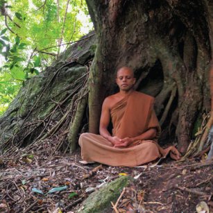 04 Day Experience - Go Lanka Tour