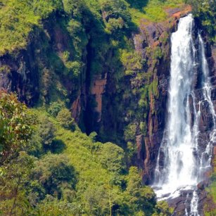 5 Day Experience - Go Lanka Tour