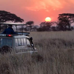 10 Day Experience - Go Lanka Tour