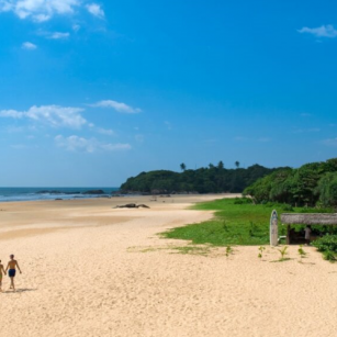 01 Day Experience - Go Lanka Tour