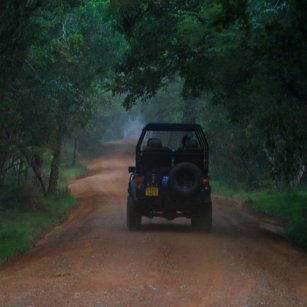 01 Day Experience - Go Lanka Tour