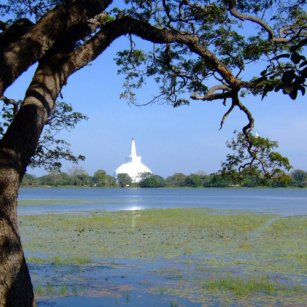 04 Day Experience - Go Lanka Tour