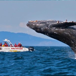 12 Day Experience - Go Lanka Tour