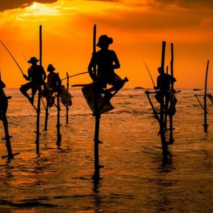 07 Day Experience - Go Lanka Tour