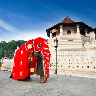 09 Day Experience - Go Lanka Tour