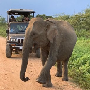 11th Day Experience - Go Lanka Tour