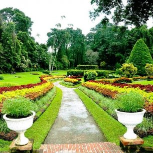 10 Day Experience - Go Lanka Tour