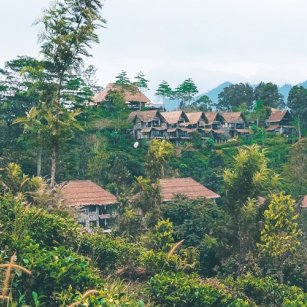 10 Day Experience - Go Lanka Tour