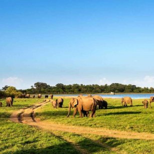 2 Day Experience - Go Lanka Tour